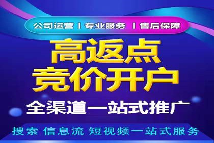 SEM代运营案例：打造高效广告投放方案